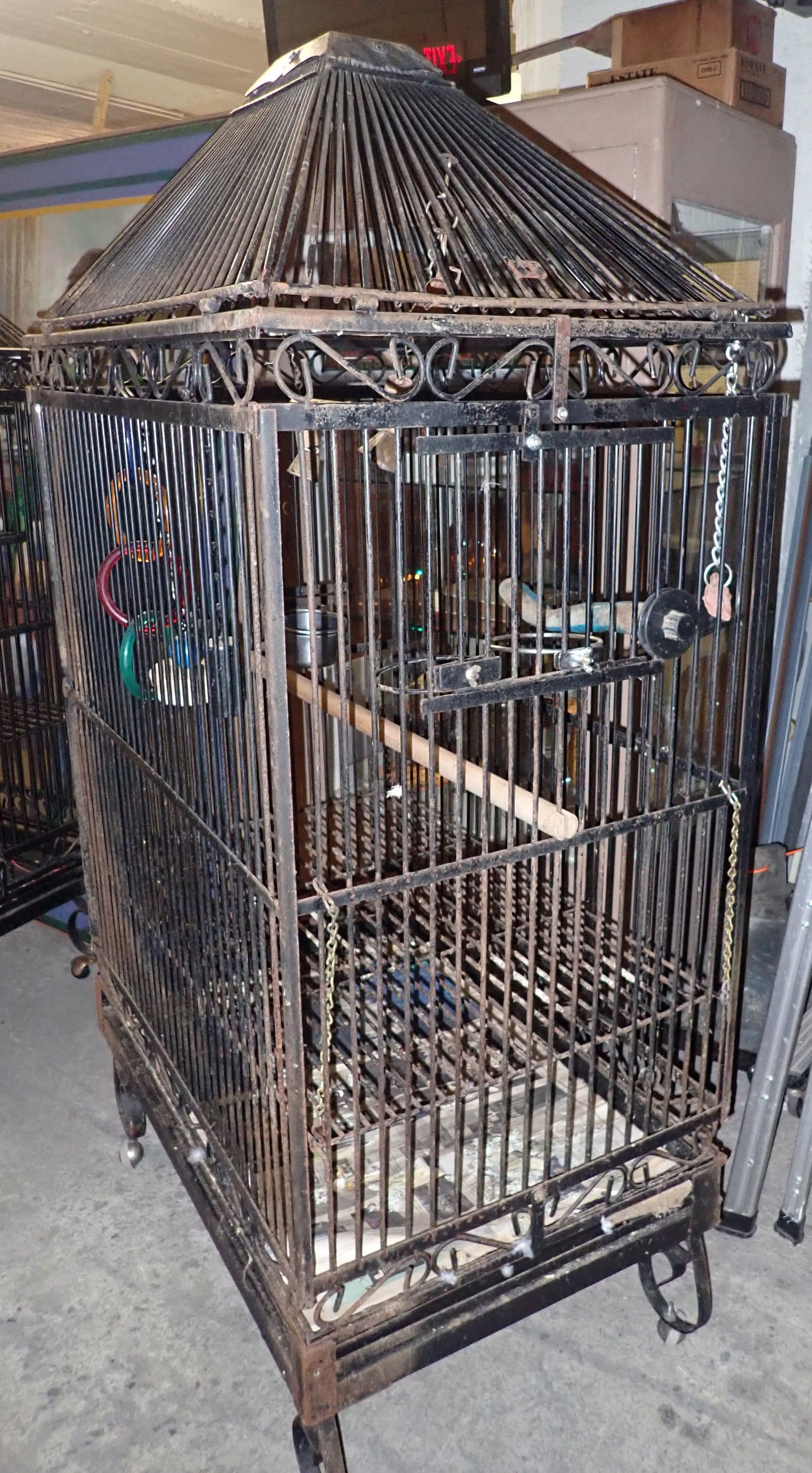 Bird Cage - 2