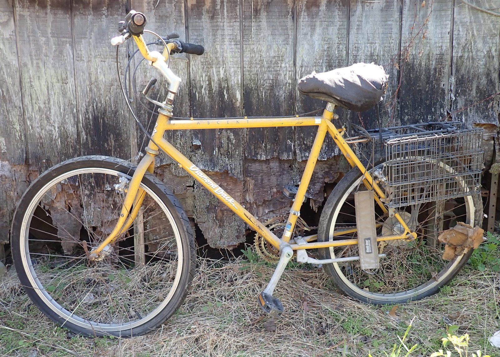 Diamond Back Accent Bike (1 of 5)