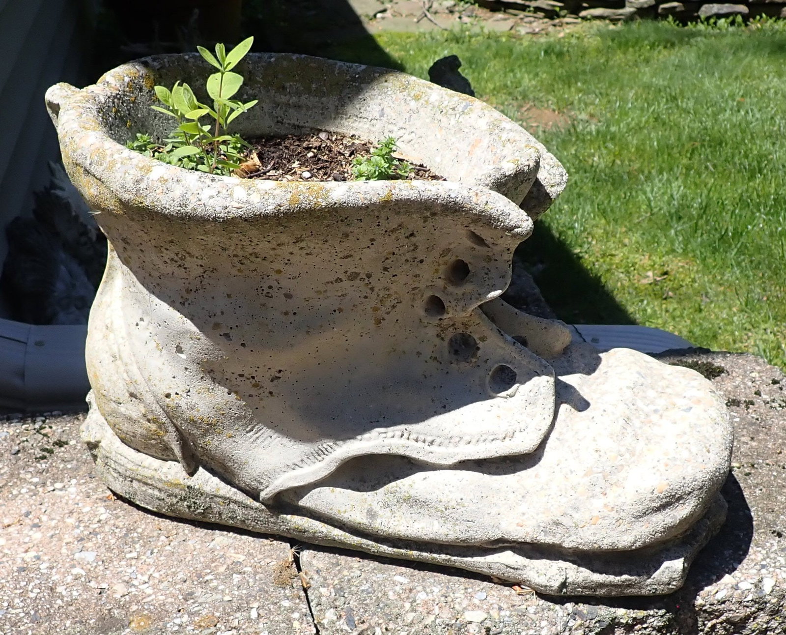 Concrete Boot Planter: Approx 16" long and 10" tall. No in house shipping !