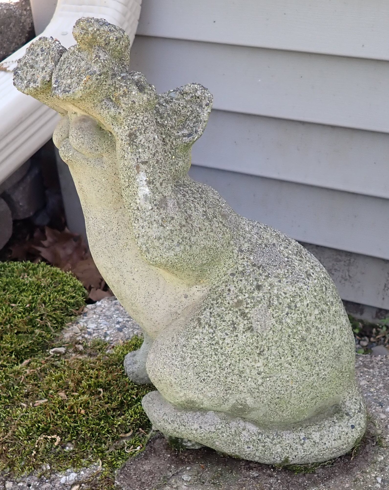 Concrete Cat w/ Binoculars: Approx 13 1/4" tall. Shipping available ($20 handling charge, plus postage)