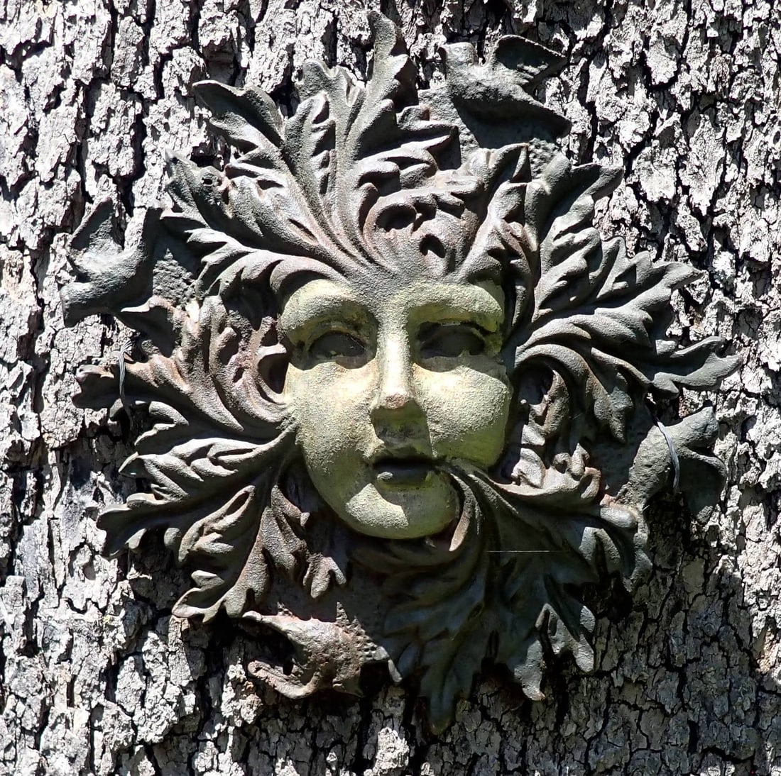Cast Iron Garden Leafy Woman Plaque & Tin Sun Bells: Plaque is apprx 10 1/4" x 11". Bring phillips head screwdriver to remove from tree. No in house shipping !