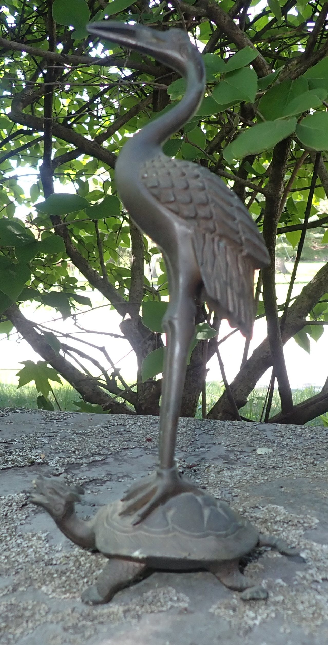 Brass Heron on Tortoise (1 of 2)