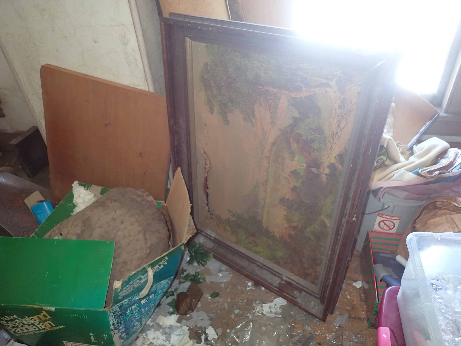 Partial Attic Contents - 3