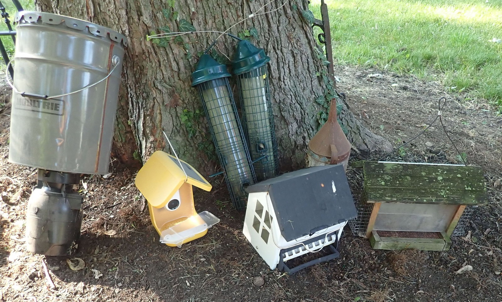 Bird Houses / Feeders & Moultrie Deer Feeder (1 of 4)