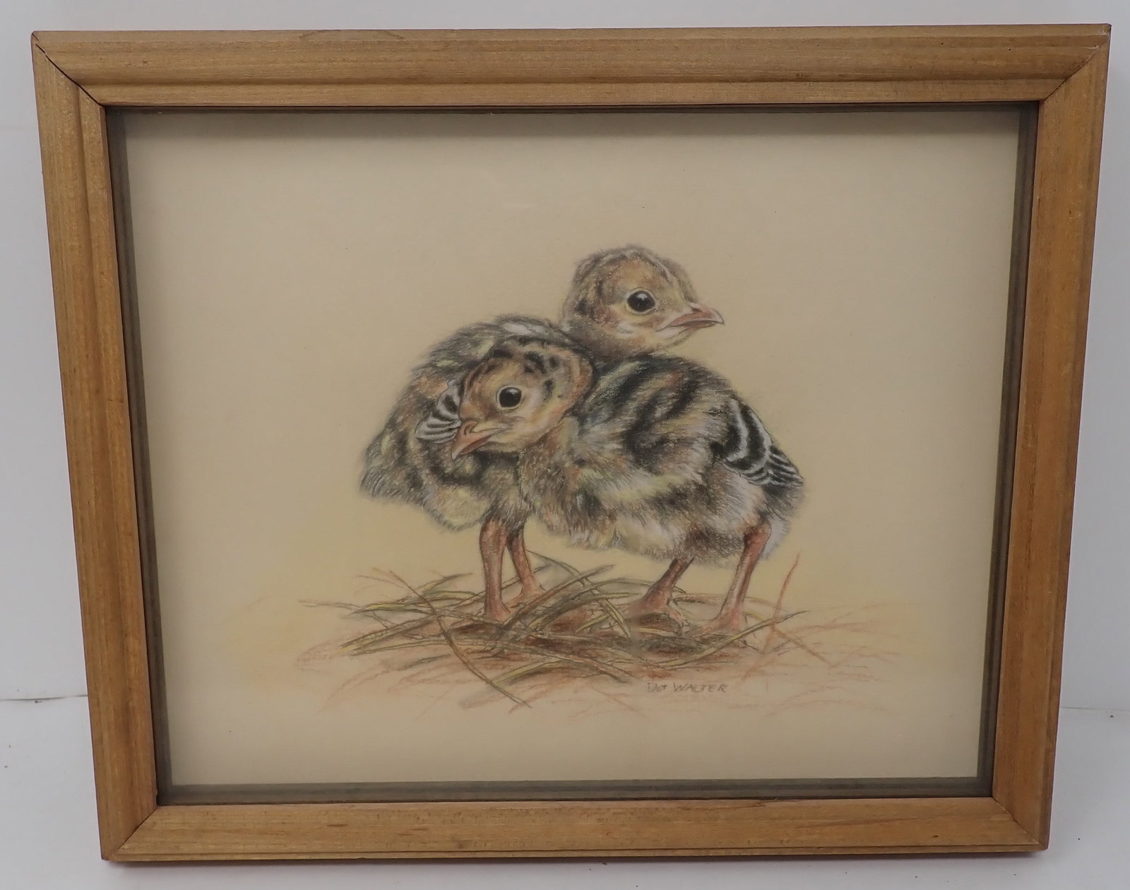 Dot Walter Young Turkeys Pencil Drawing: Approx 9 1/4" x 11 1/4". Shipping available