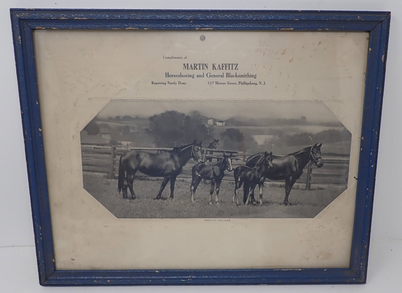 Martin Kaffitz Horseshoeing & Blacksmithing Phillipsburg NJ (1 of 5)