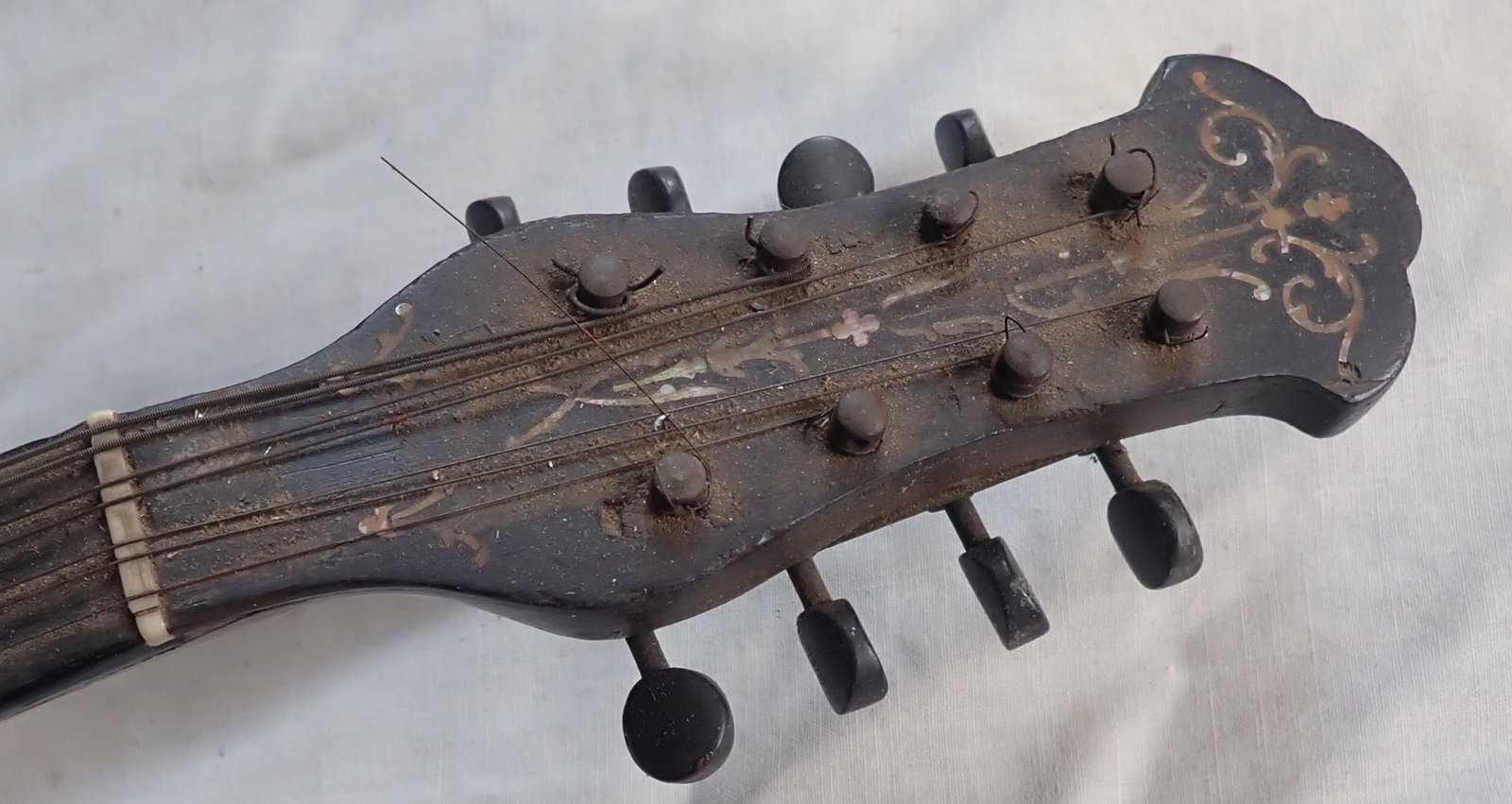 Mandolin Banjo - 2