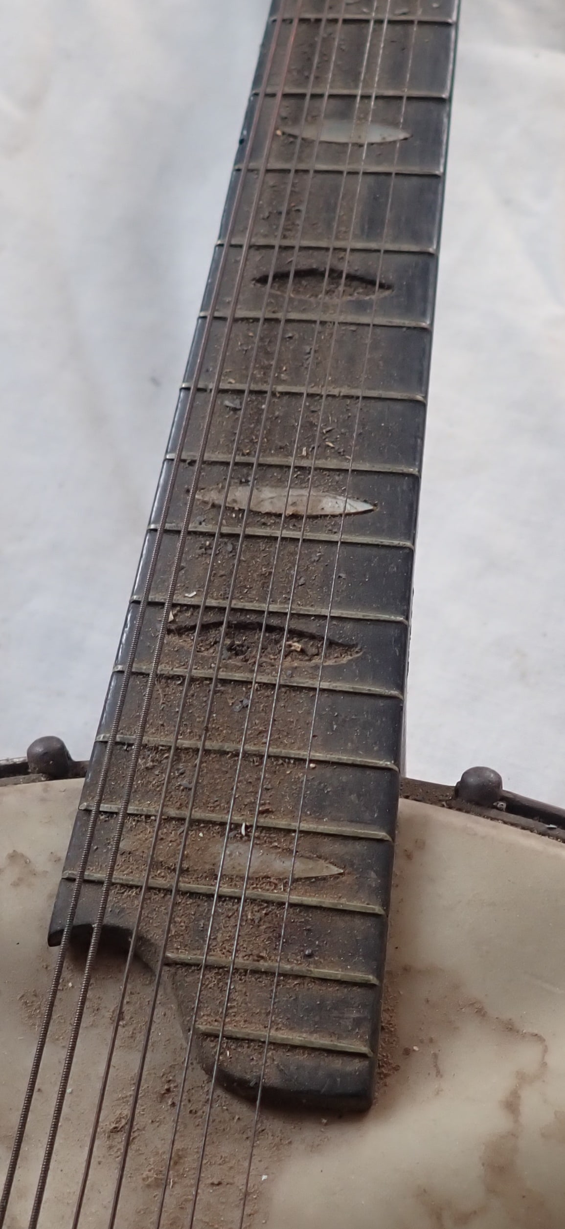 Mandolin Banjo - 3