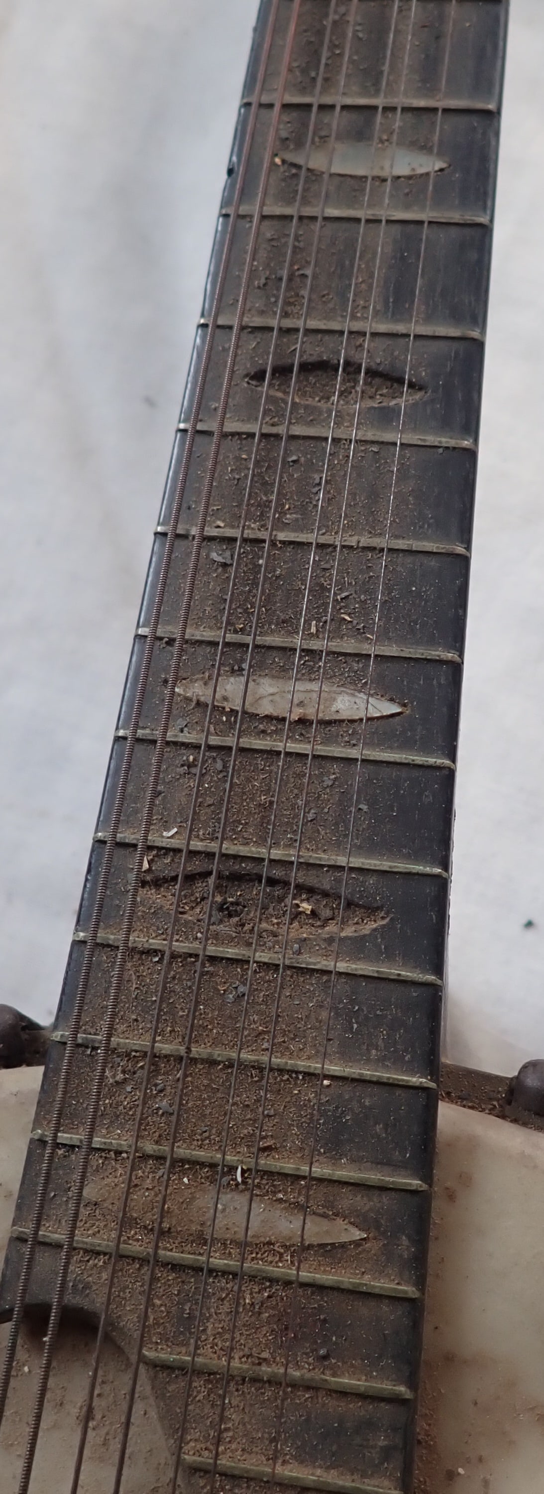 Mandolin Banjo - 4