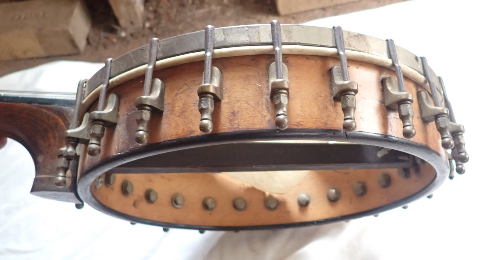 Mandolin Banjo - 7