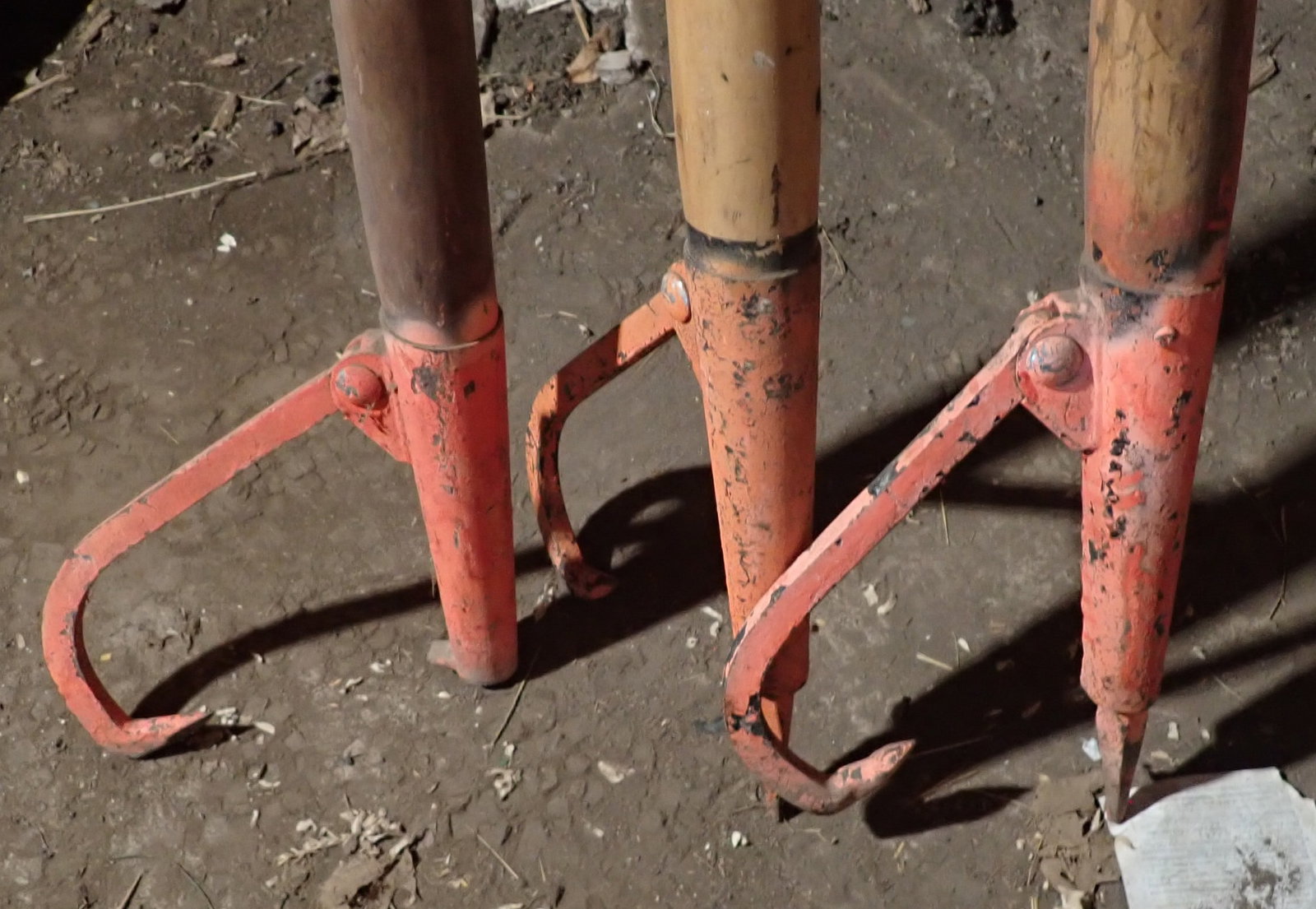 3 Log Rollers - 2