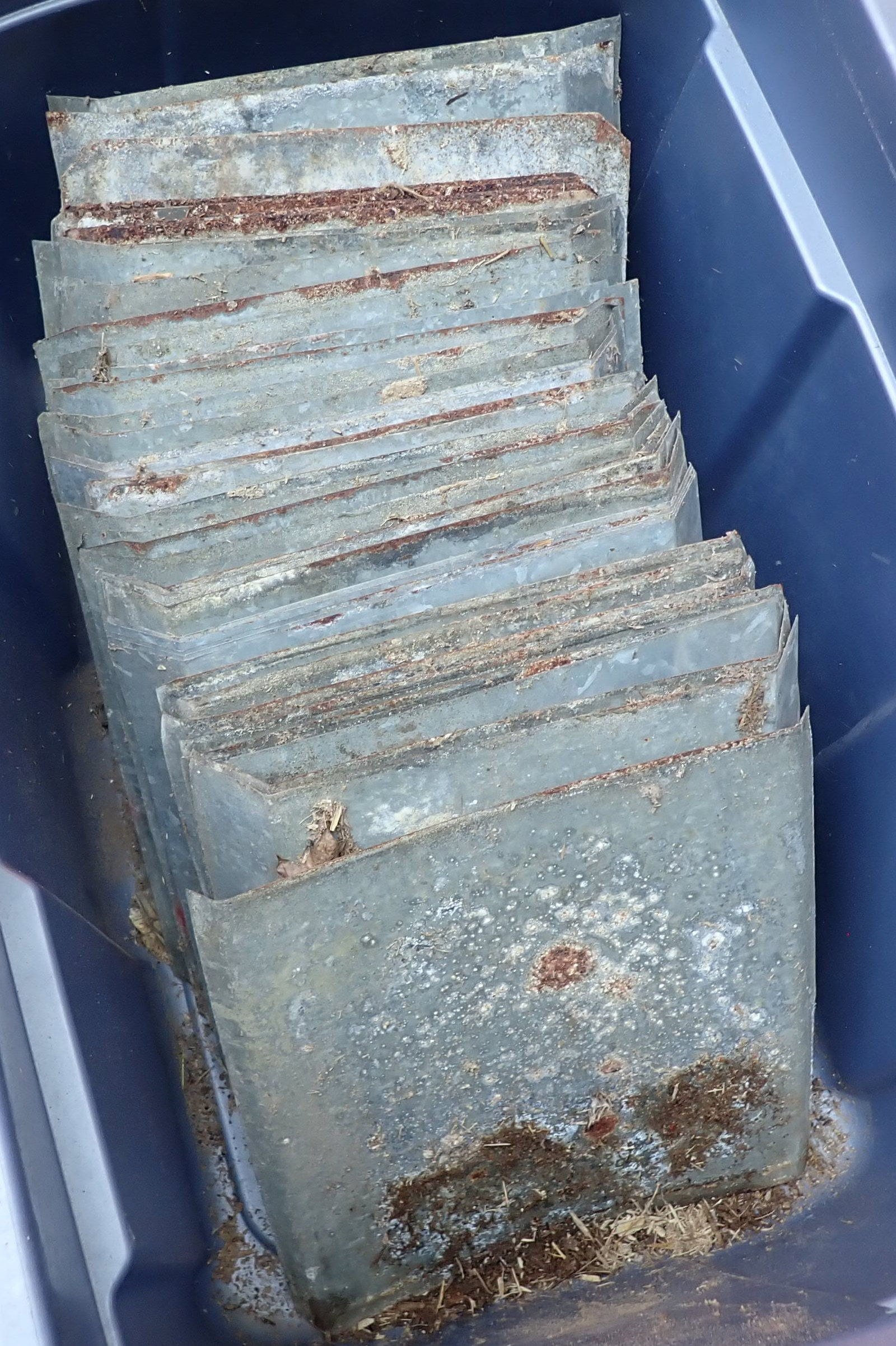 2 Chicken Nesting Boxes - 6
