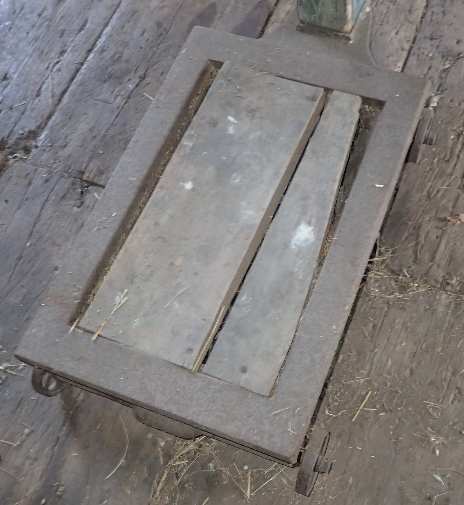 Platform Scale - 2
