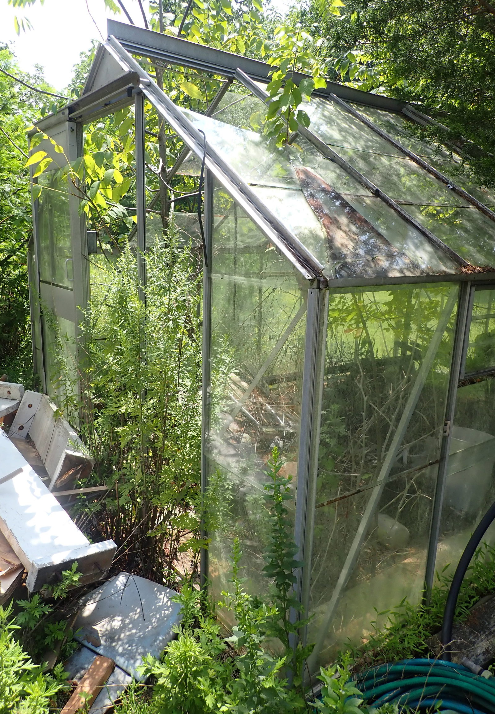 Greenhouse (1 of 4)