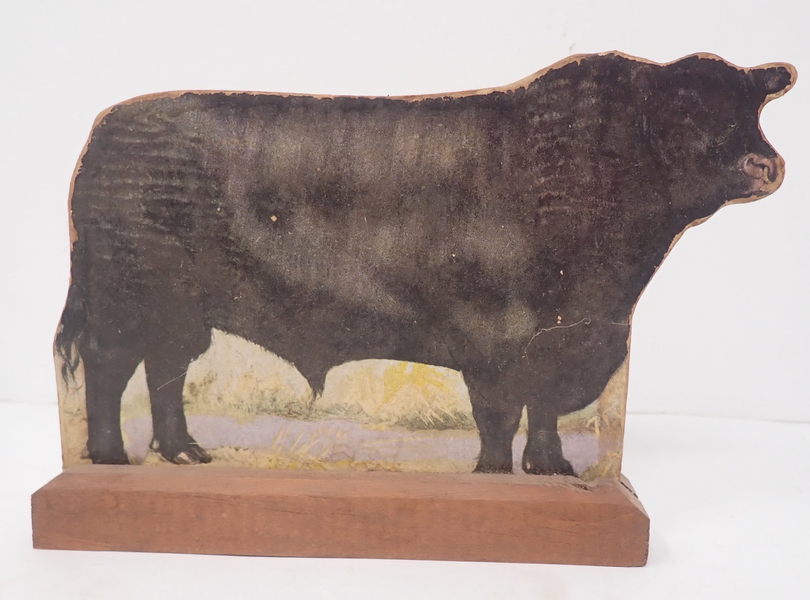 Aberdeen Angus Bull Cut Out: Approx 6 7/8" long and 4 7/8" tall. Shipping available