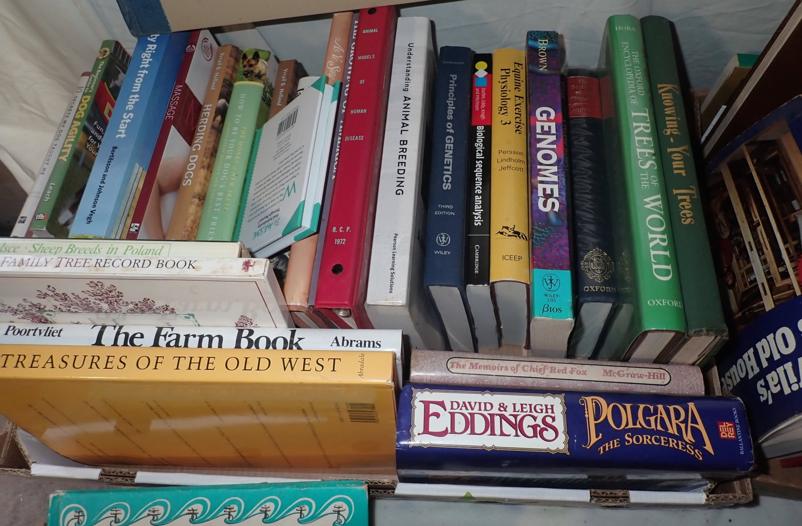 Large lot of Books: NO in house shipping !