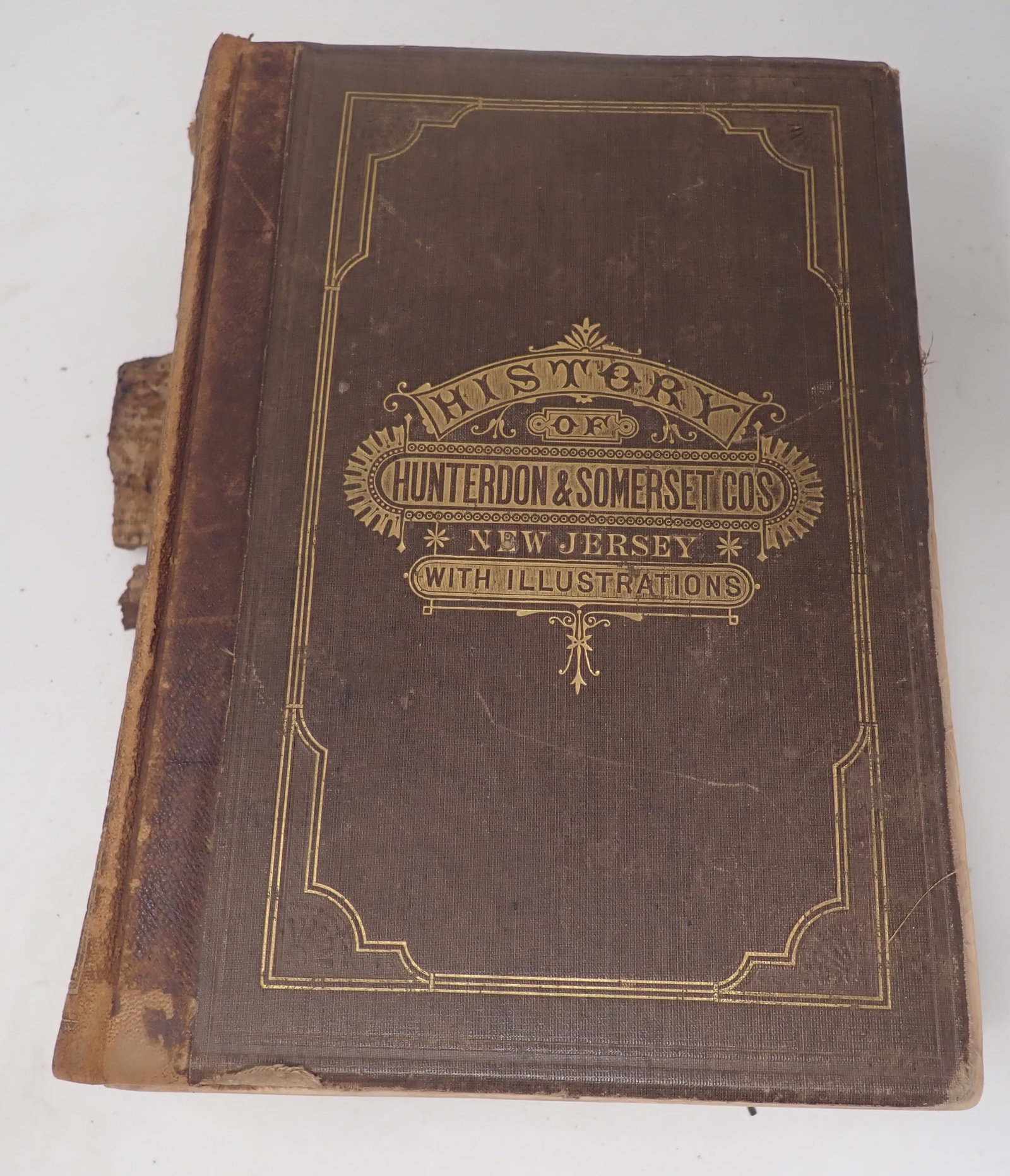 1881 History of Hunterdon & Somerset Counties James P. Snell Book (1 of 4)