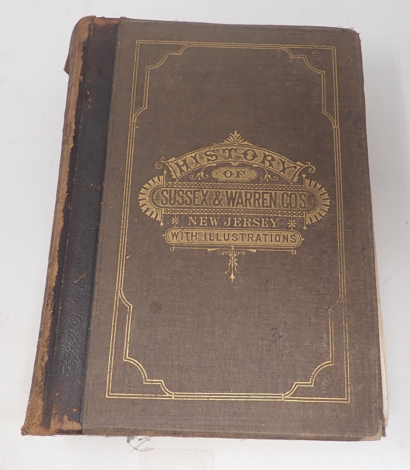 1881 History of Sussex & Warren Counties NJ Book: By James P. Snell - Shipping available