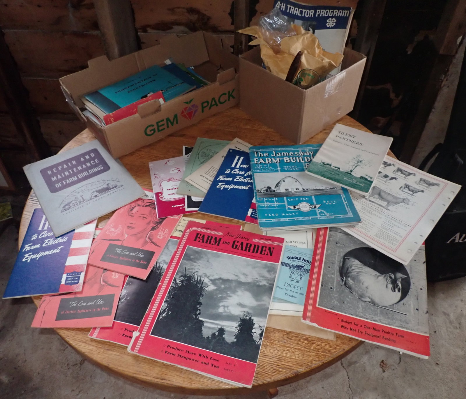 4-H Books, Ribbons, Pinbacks, Pewter Medallions, & Misc: Shipping available