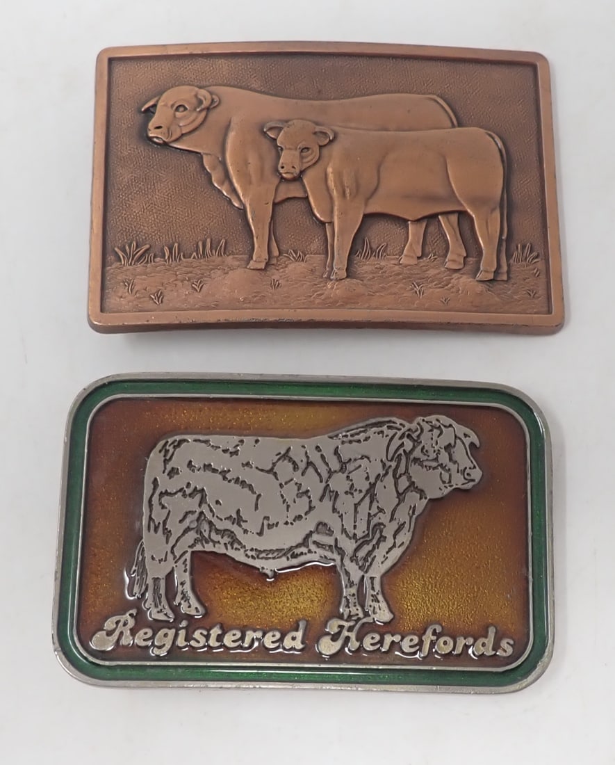 2 Hereford Cow Belt Buckles: Approx 2 1/4" x 3 3/8". Shipping available