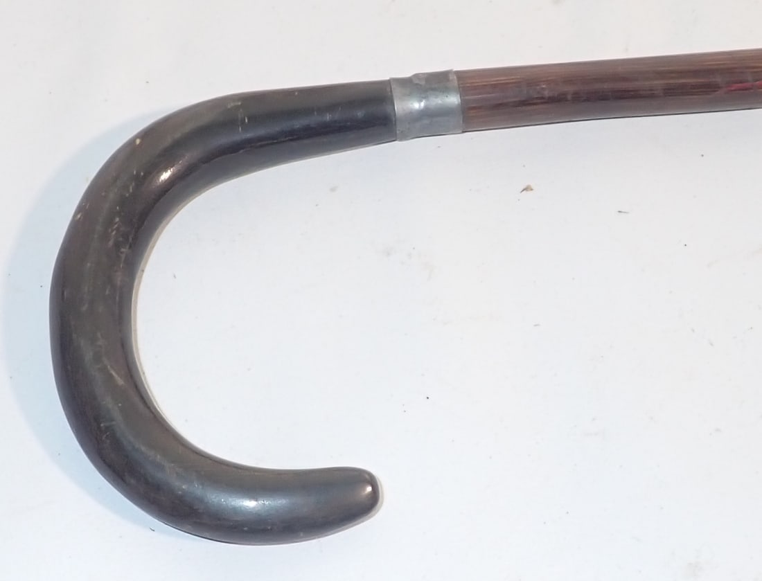 Miniature Cane - 2