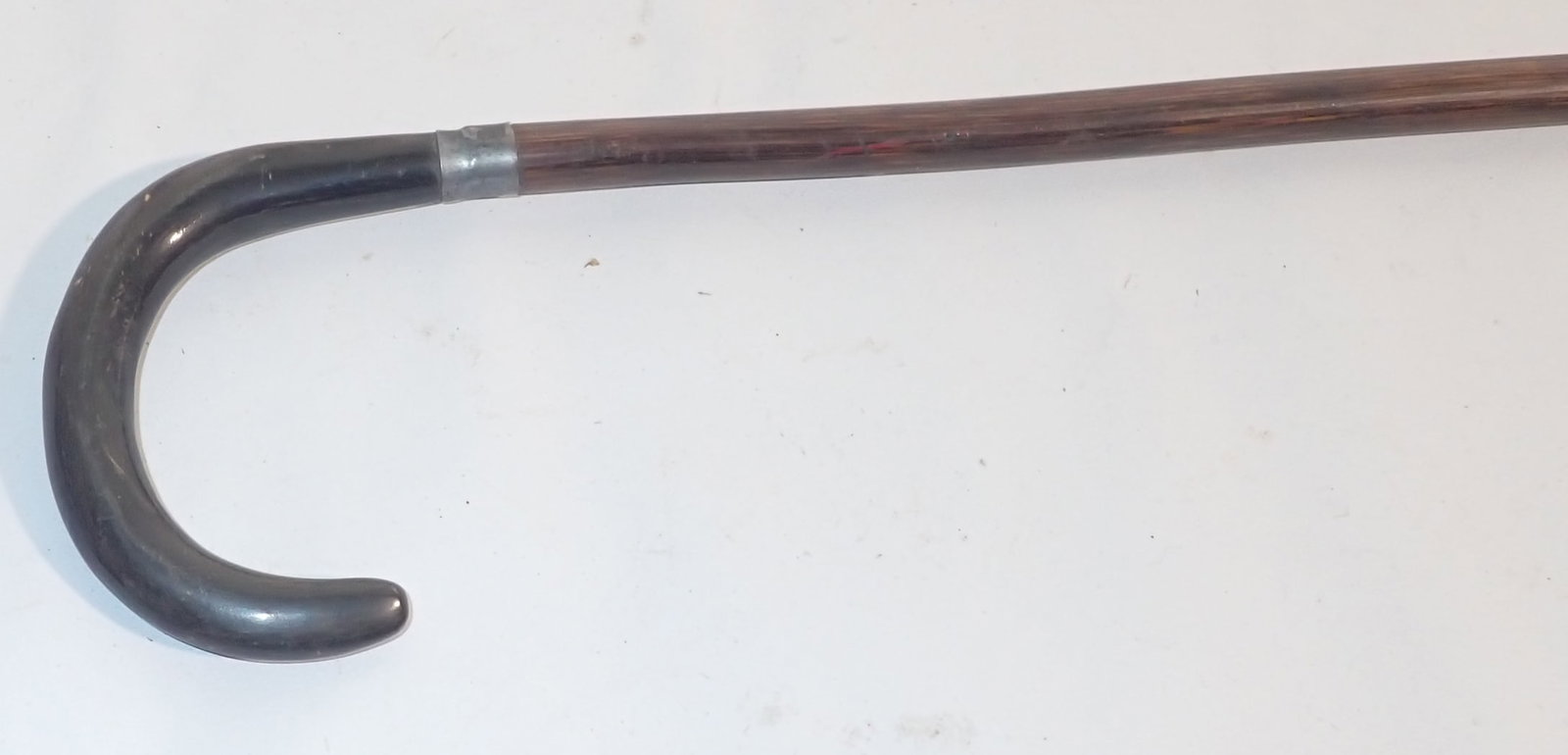 Miniature Cane - 3