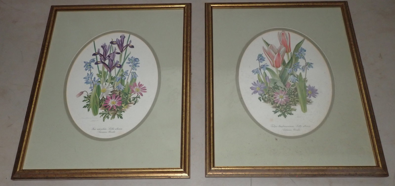 1979 Anne Dowden Signed Floral Prints: Approx 12" x 15". Shipping available