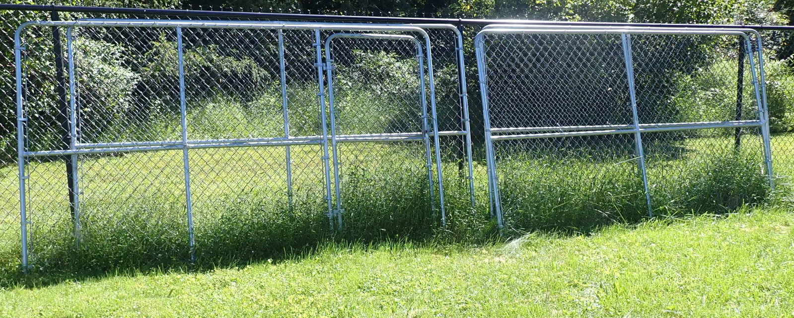 Dog Run (1 of 3)