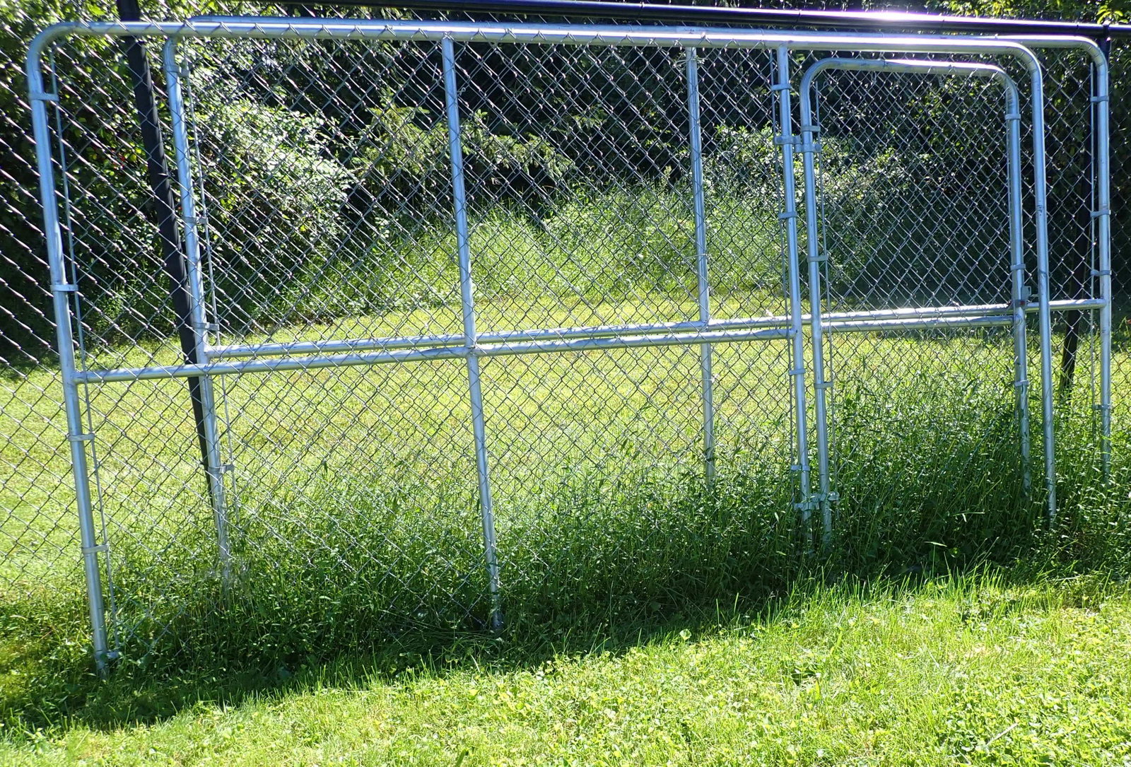 Dog Run - 2