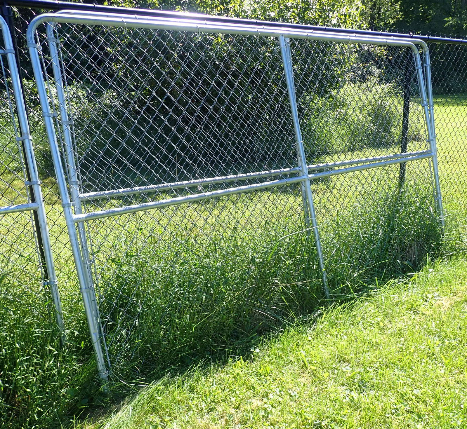 Dog Run - 3