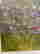 item-130818101=2