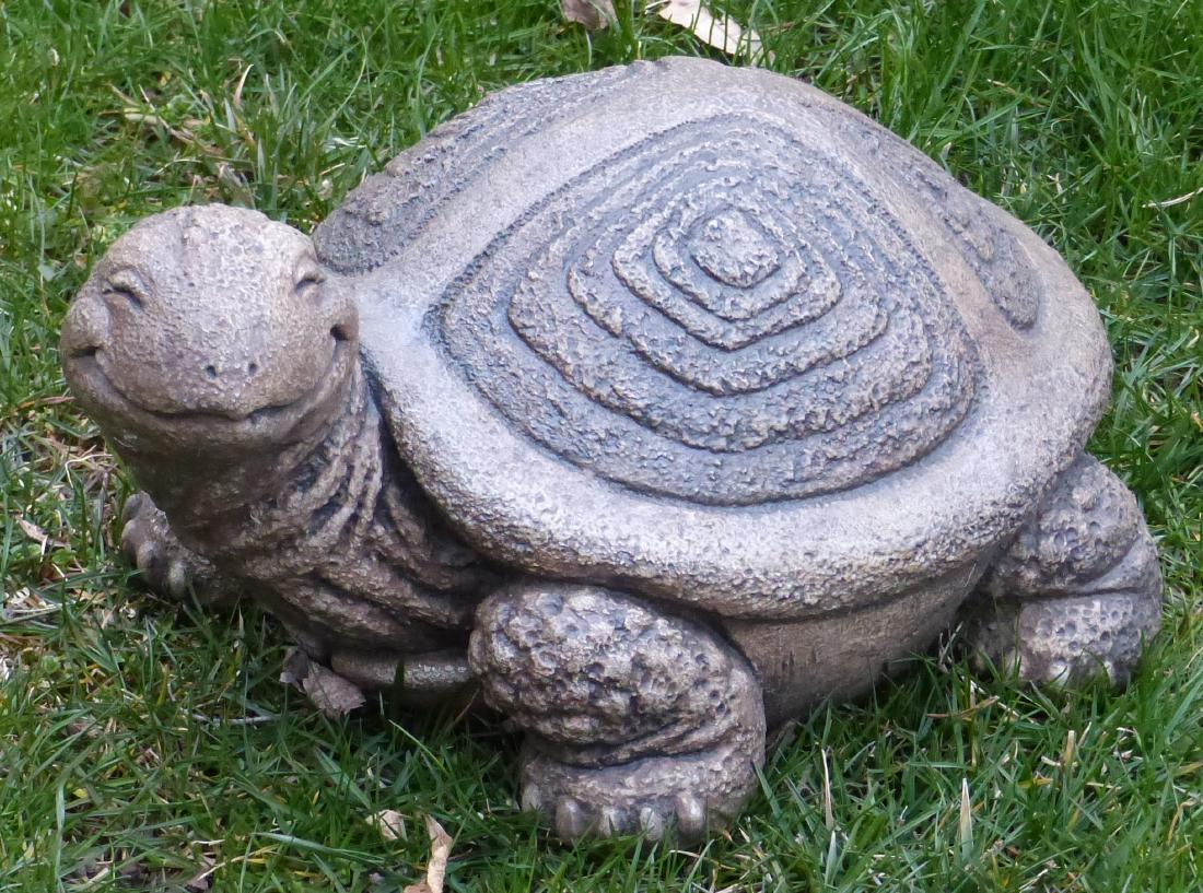Concrete Turtle (1 of 1)
