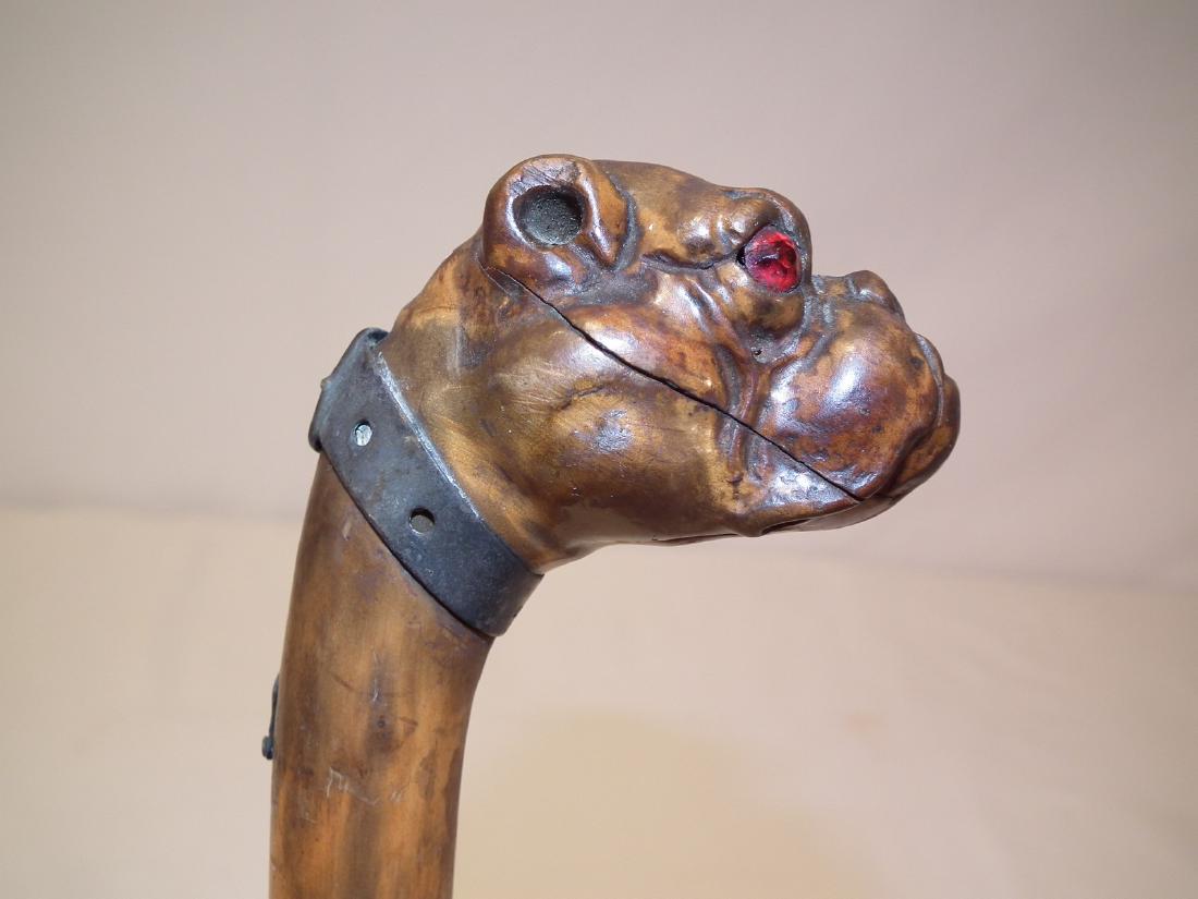 ANTIQUE WOOD BULLDOG CANE: 19th century carved wood cane with head of a bulldog with glass or ruby eyes, silver collar marked Lyon Maker, Old Silver. Metal ferrule, 35.5 inches long. Crack.