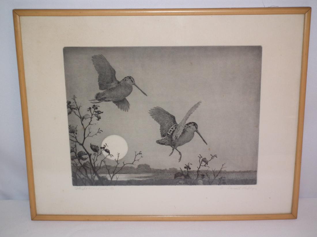 A.LASSELL RIPLEY BIRDS ETCHING: Fine old etching signed A. Lassell Ripley depicting 2 birds aloft in moonlight and titled Flight of Woodcocks (in pencil). Image 9 x 12 inches, framed 13.5 x 17.5. Excellent condition.