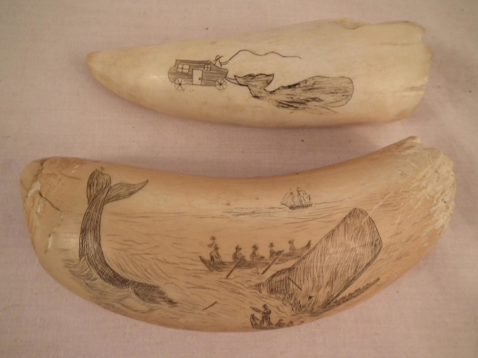 2 SCRIMSHAW WHALE TEETH: Lot of 2 antique scrimshaw whale's teeth with damage: American whaler and whaling scene (broken tip); and 5 inch tooth with whale harnessed to a wagon (later scrimshaw - chips). 10.3 oz & 4.6 oz respe