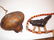 LOT INDIAN ITEMS - 2