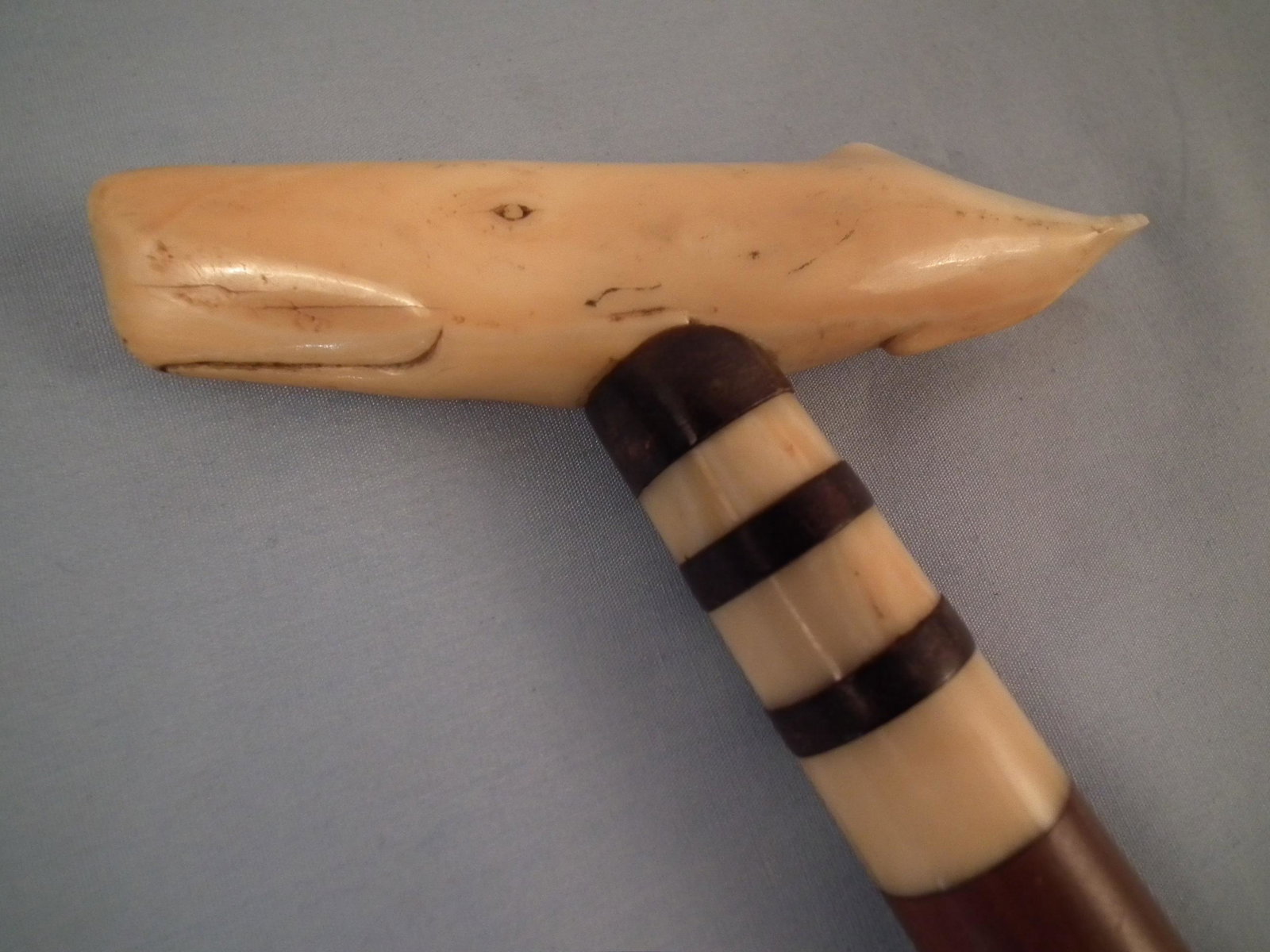 ANTIQUE WHALE HANDLED CANE: Rare antique carved bone handled cane in the form of a whale, baleen stripes, and wooden shaft. 37.5 in long.