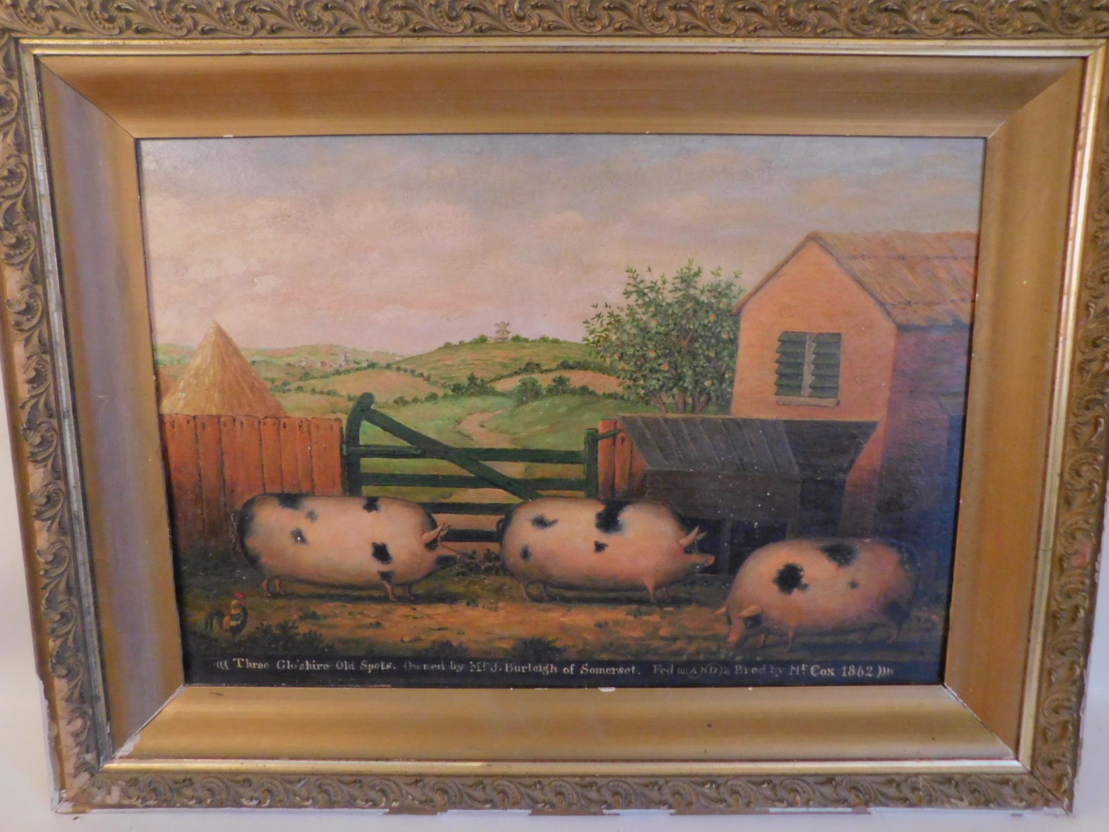 ANTIQUE PAINTING 3 PIGS IN FARMYARD: Charming antique oil painting on board depicting 3 pigs in a farmyard, has notation at bottom THREE GLO'SHIRE OLD SPOTS, OWNED BY MR. J. BURLEIGHT OF SOMERSET, FED AND BRED BY MR. COX 1862. 19 x 28 in