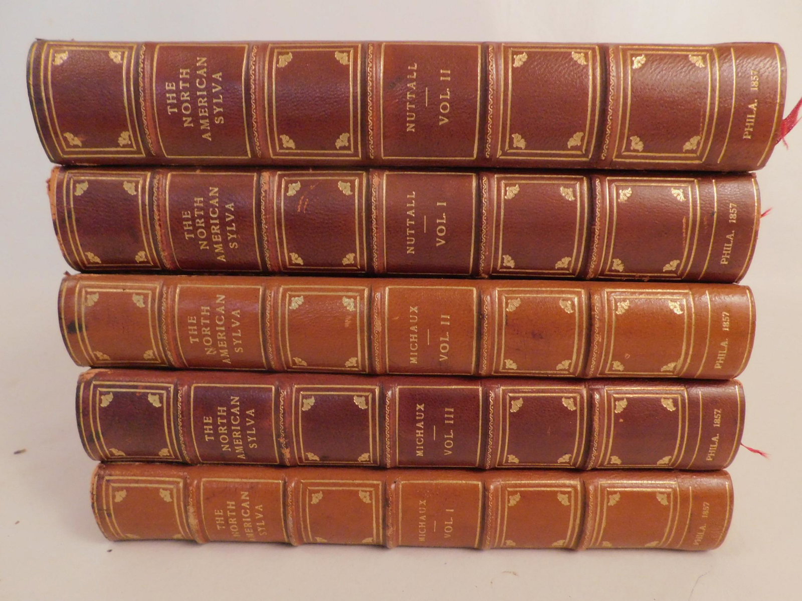 5 BOTANICAL BOOKS - NO. AMERICAN SYLVA 1857: Set of 5 rare antique botanical leather-tooled books titled North American Sylva - Forest Trees of US, Canada, Nova Scotia - with 156 engravings translanted from French by F. Andrew Michaux, Phila. Pu