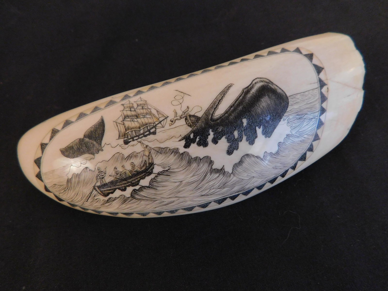 SCRIMSHAW WHALE TOOTH - WHALE ATTACK: Scrimshaw whale tooth with whaling scene of man attacked by whale and thrown up in the air. Size: 5.5 in tall, weighs 7.8 oz.