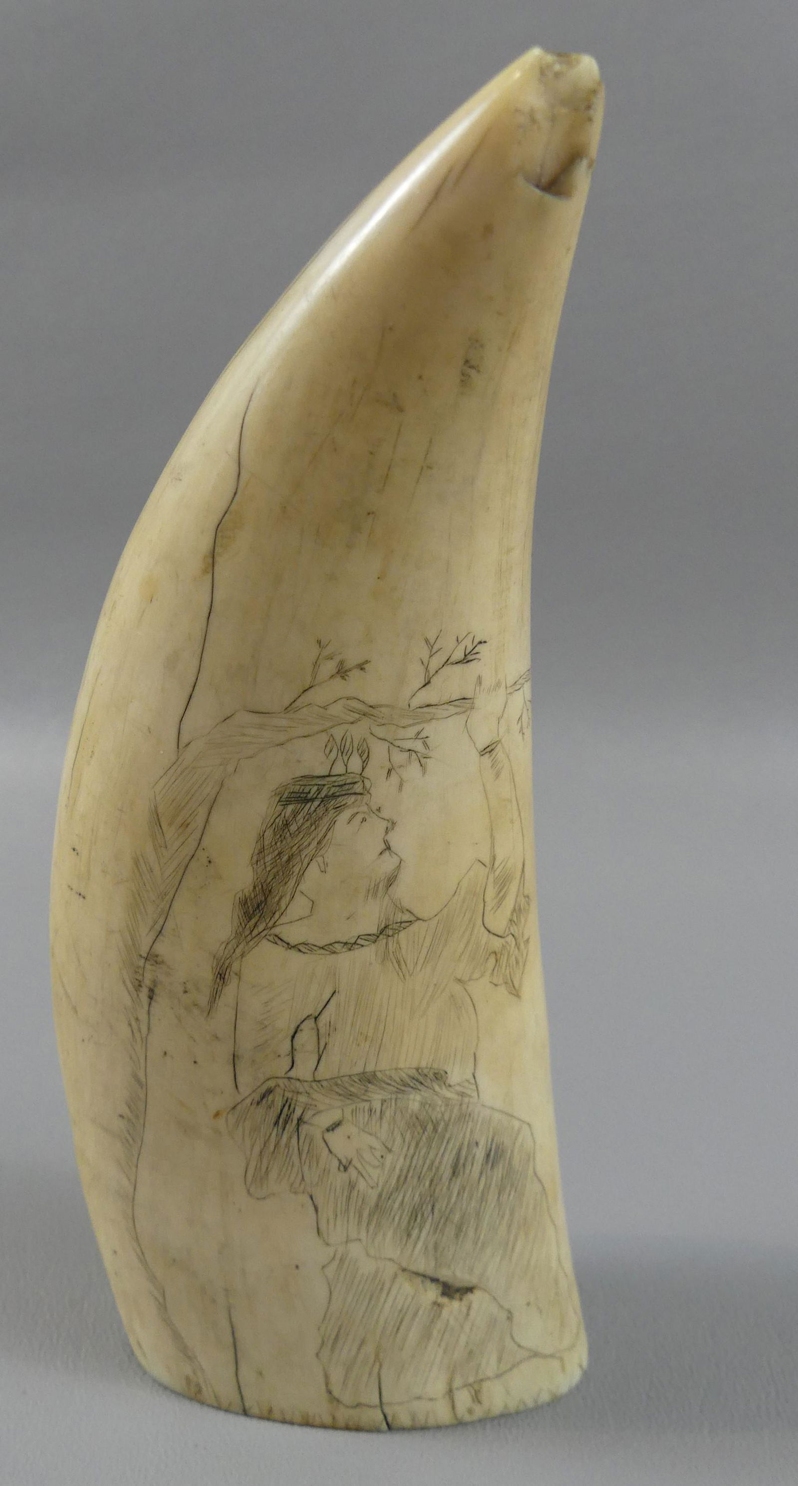 WHALE TOOTH - SCRIMSHAW NATIVE LADY: Antique whale tooth with scrimshaw of a Native American? woman holding on to a tree branch. 5.75 x 2.75 inches, weighs 11.2 oz.