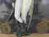 item-136397210=3