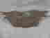 item-136397220=3