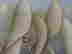 item-136397228=3