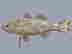 item-136397230=3