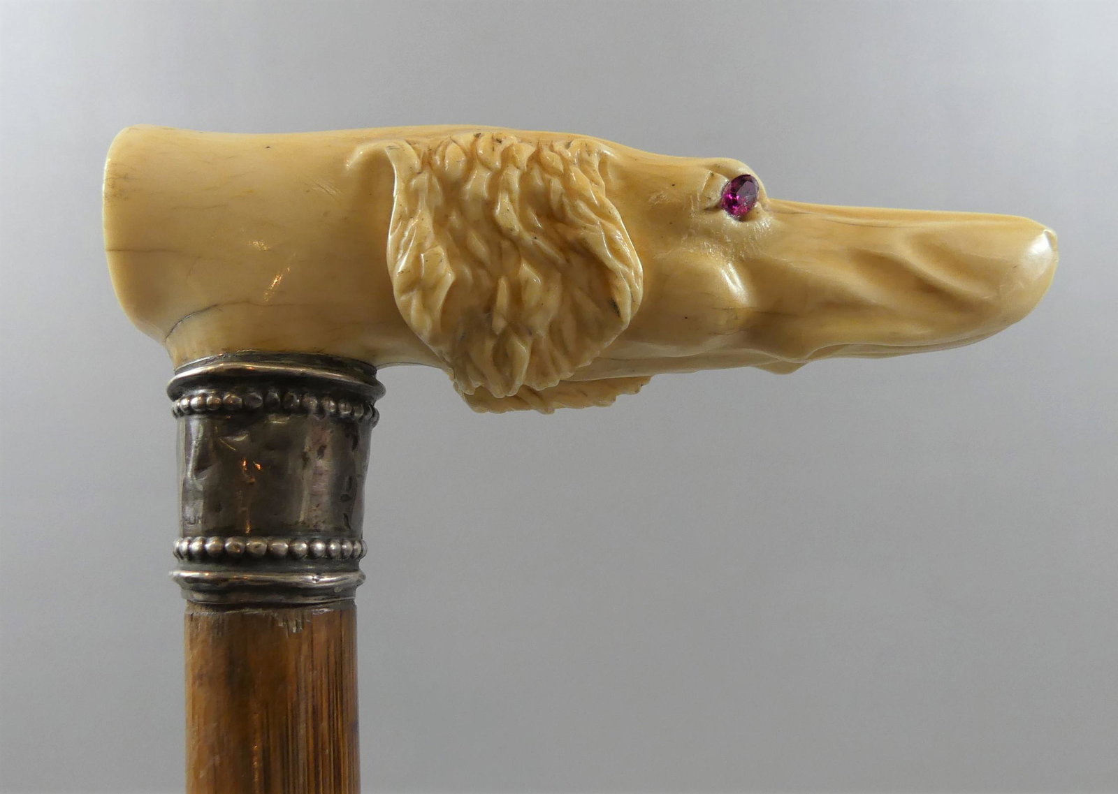 FINE DOG HEAD CANE: Finely carved bone dog-head handled cane with glass jewel eyes, silver collar, bamboo shaft. 34.5 in long, handle 4.5 wide.