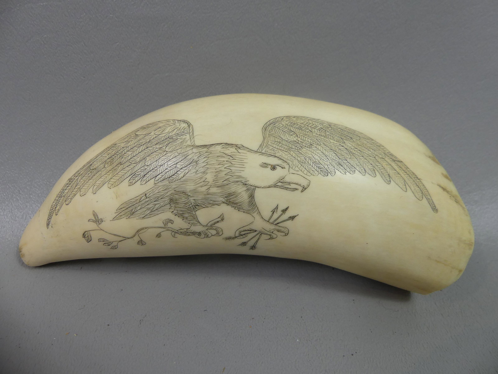 WHALE TOOTH - SHIP & EAGLE: Large antique whale tooth with scrimshaw of eagle holding arrows, and 3 masted ship verso. 6 x 2 in, weighs 14.4 oz.