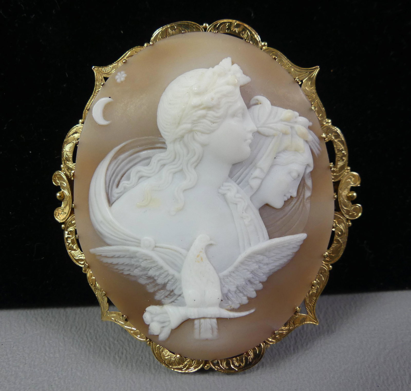 LARGE SHELL CAMEO BROOCH - GOLD FRAME (1 of 2)