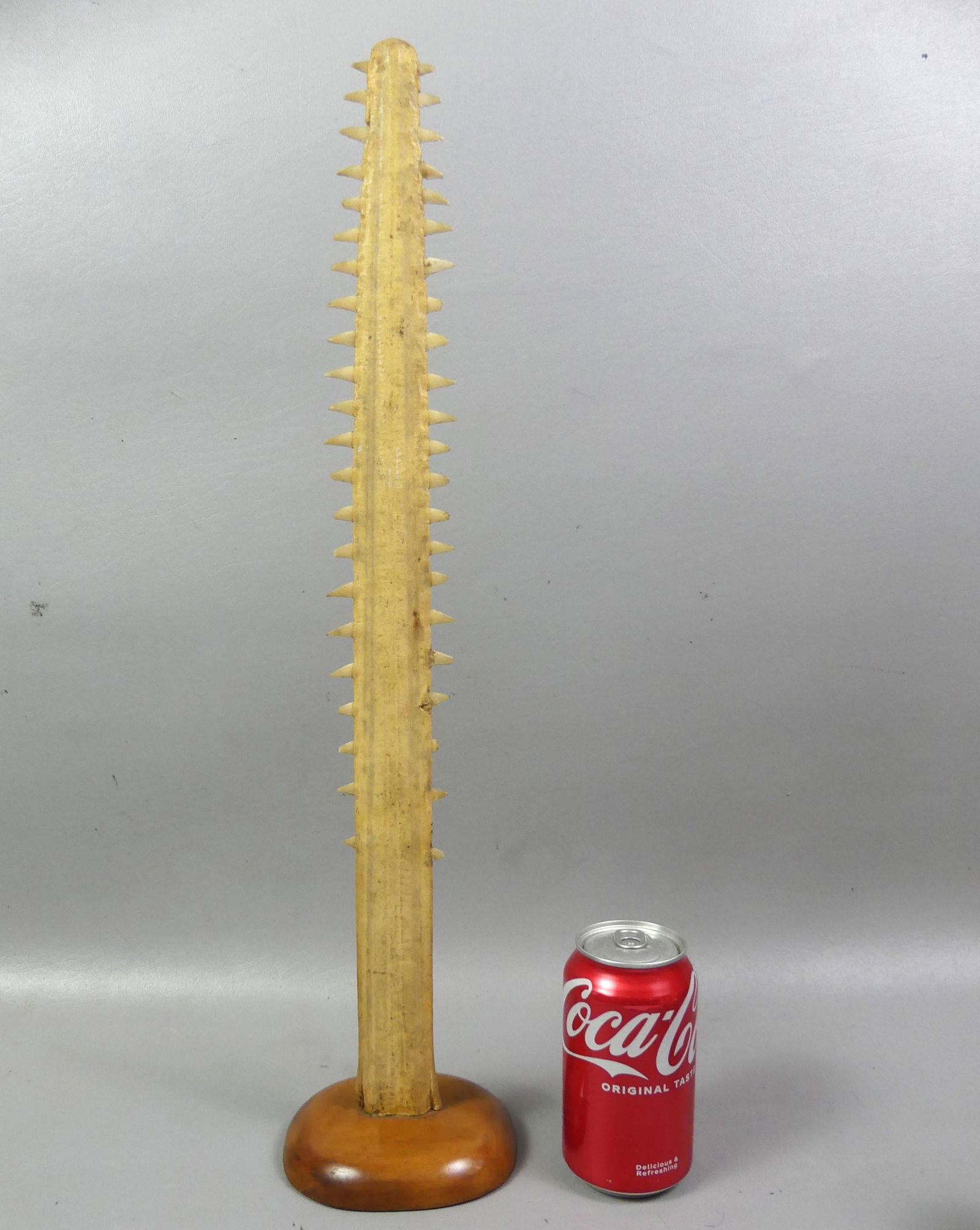 ANTIQUE SAWFISH ROSTRUM (1 of 2)