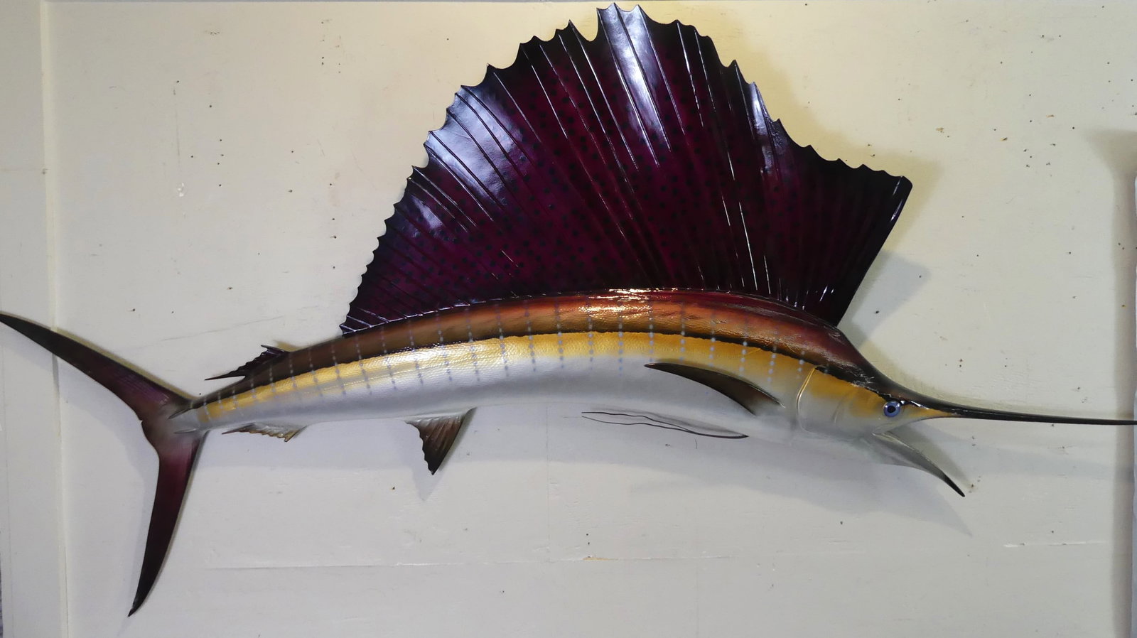 84 IN. SAILFISH MOUNT: Vintage full-bodied fiberglass sailfish wall mount, 84 x 38 in.